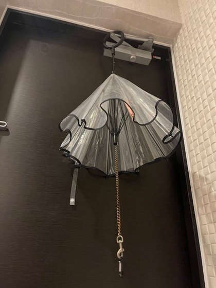 わんこの傘の図.jpg