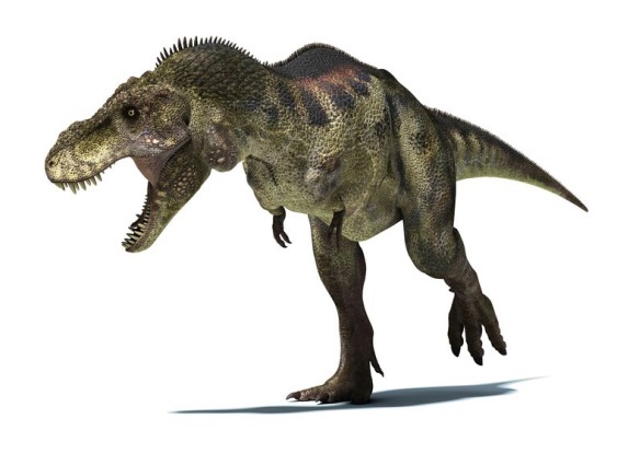 ティラノサウルス.jpg