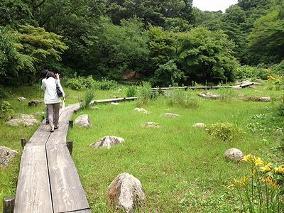 高山植物園.jpg